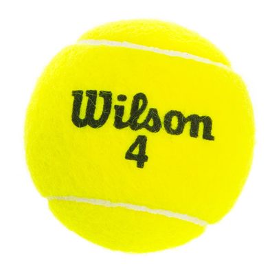 Мяч для большого тенниса Wilson AUSTRALIAN OPEN T1047