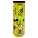 Мячи для большого тенниса DUNLOP TEAM PADEL DL601385 3шт салатовый