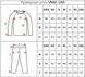 Комплект компрессионный мужской (Лонгслив и штаны) VENUM 8135-8235-GR, XL