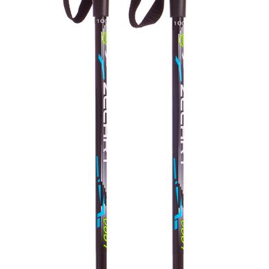 Лыжи беговые детские ZELART 130 см с палками 110 см SK-0881-130B, Синий