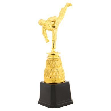 Фигура наградная спортивная Zelart Каратист JZ19517B высота 25,5см золото