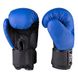 Перчатки для бокса EVERLAST DX матовые синие 10 унций EV3597/10B