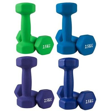 Гантели неопреновые для фитнеса цельные литые виниловые 2 шт по 2,5 кг 80024-N25, Фиолетовый
