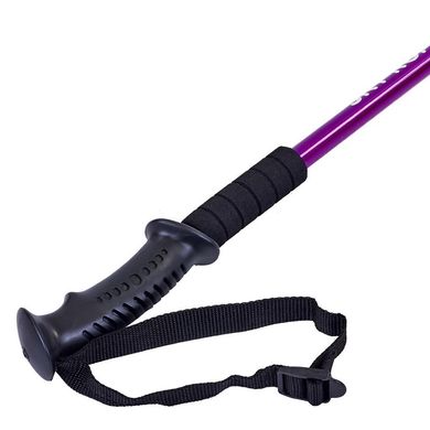 Треккинговые палки для скандинавской ходьбы (2шт) SKY ROAD TY-5526, Фиолетовый