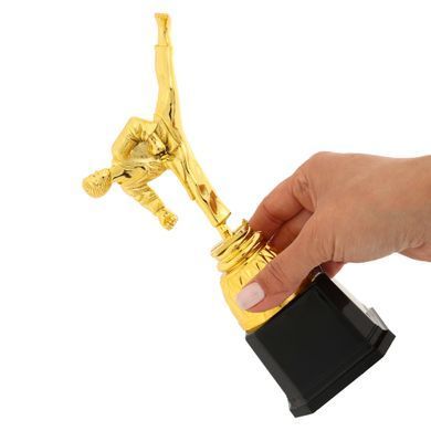 Фигура наградная спортивная Zelart Каратист JZ19517C высота 23,5см золото