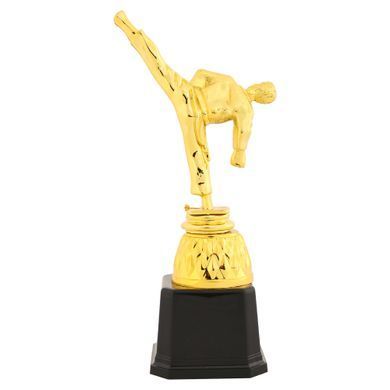 Фигура наградная спортивная Zelart Каратист JZ19517C высота 23,5см золото