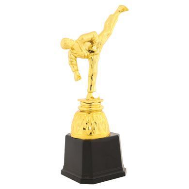 Фигура наградная спортивная Zelart Каратист JZ19517C высота 23,5см золото