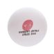 Набор шариков (мячей) для настольного тенниса (100 шт) RECORD PRO-513
