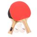 Набор для настольного тенниса 2 ракетки, 3 мяча STIGA SGA-1220281601