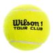 Мяч для большого тенниса тренировочный Wilson TOUR CLUB (3шт) T1054