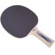 Ракетка для настольного тенниса (1 шт) DONIC LEVEL 300 MT-705232