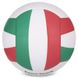 Волейбольный мяч Molten №5 V5FLC