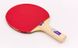 Набор настольный теннис (2 ракетки, 3 мяча, сетка) GIANT DRAGON MT-6507
