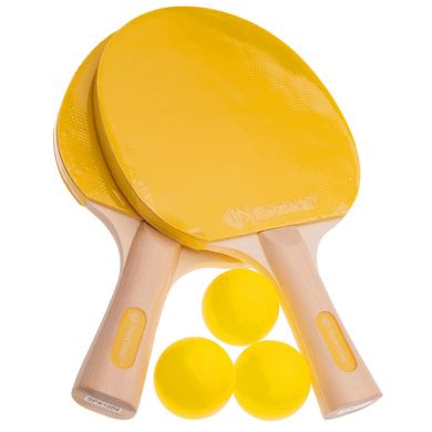 Набор настольный теннис (2 ракетки, 3 мяча) PANTONE SPK1004