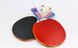 Набор (2 ракетки, 3 мяча, чехол) для настольного тенниса GIANT DRAGON MT-6505