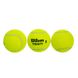 Мячи для большого тенниса WILSON (3шт) WRT125200