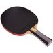 Набір для настільного тенісу (2 ракетки, 3 м'ячі, чохол) GIANT DRAGON MT-6546