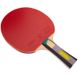 Набір для настільного тенісу (2 ракетки, 3 м'ячі, чохол) GIANT DRAGON MT-6546