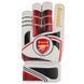 Вратарские футбольные перчатки ARSENAL размер 8 GGLG-AR8