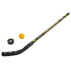Хоккейный набор TG-3101 (Клюшка, шайба, мяч для игры на льду и на траве), Черный
