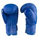 Перчатки боксерские Venum матовый DX синий 10 унций VM2955/10B
