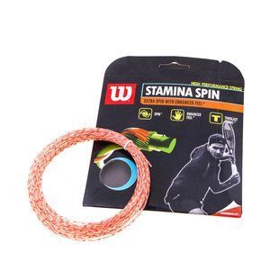 Струны Wilson Stamina Spin нейлон WSS18