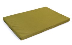 Мат гимнастический (120 x 100 x 8 см) ZELART зеленый C-3541