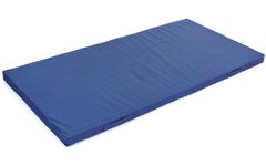 Мат гимнастический (120 x 100 x 8 см) ZELART синий C-3541