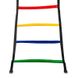 Координационная лестница дорожка мягкая 6м (12 перекладин) для детей FB-0503-6, Разные цвета