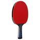 Ракетка для настольного тенниса DUNLOP EVOLUTION 2000 DL679340N