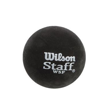 Мяч для сквоша WILSON (2шт) (синяя точка, быстрый мяч) WRT617500