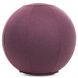 Мяч для фитнеса (фитбол) с чехлом 65см FI-1466, Фиолетовый