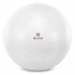 Фітбол м'яч для фітнесу сатин BLOOM LB7051-65 колір білий