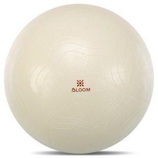 Фітбол м'яч для фітнесу сатин BLOOM LB7051-75 колір білий