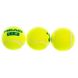Мяч для тенниса большого HEAD TIP GREEN (3шт) 578233