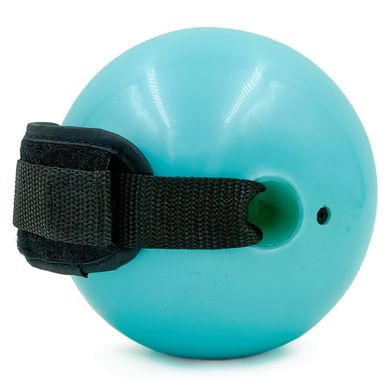 Мяч утяжелитель с манжетом (2x1 LB) Pro Supra d-11 030-1LB, Блакитний