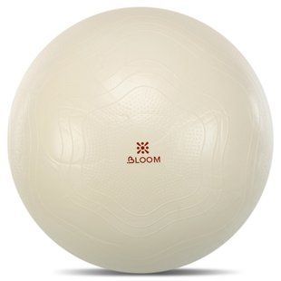 Фітбол м'яч для фітнесу сатин BLOOM LB7051-75 колір коричневий