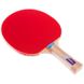 Набор для тенниса (2 ракетки, 3 мяча, сетка) GIANT MT-6506