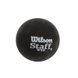М'яч для сквошу WILSON STAFF SQUASH 2 BALL BL DOT WRT617500 2шт чорний