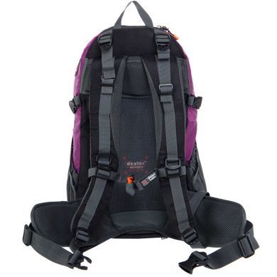 Рюкзак спортивный с каркасной спинкой DTR 8810-3 цвет черный