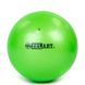 Мяч для пилатеса и йоги Zelart Pilates ball Mini d-20см, 400гр GB-5219, Салатовый