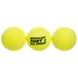 Мячи для большого тенниса DUNLOP FORT TOURNAMENT SELECT DL601315 3шт салатовый