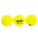 Мяч теннисный TELOON Z-COURT (3шт) T818P3