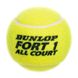 Мячи для большого тенниса DUNLOP FORT TOURNAMENT SELECT DL601315 3шт салатовый