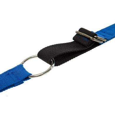 Лента стропа с петлями для растяжки Stretch Strap с дверным якорем Record FI-6907 14 петель черный-синий