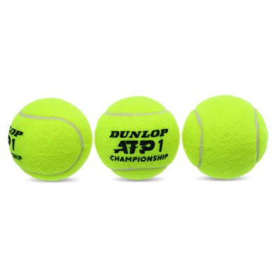 Мячи для большого тенниса DUNLOP ATP CHAMPIONSHI DL601332 3шт салатовый