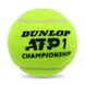 Мячи для большого тенниса DUNLOP ATP CHAMPIONSHI DL601332 3шт салатовый