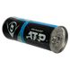 Мячи для большого тенниса DUNLOP ATP CHAMPIONSHI DL601332 3шт салатовый