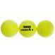 Теннисные мячи упаковка 12шт. TELOON COACH 8010412