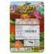Фингерборд набор для пальцев 3 фингерборда DINOSAUR SH093446
